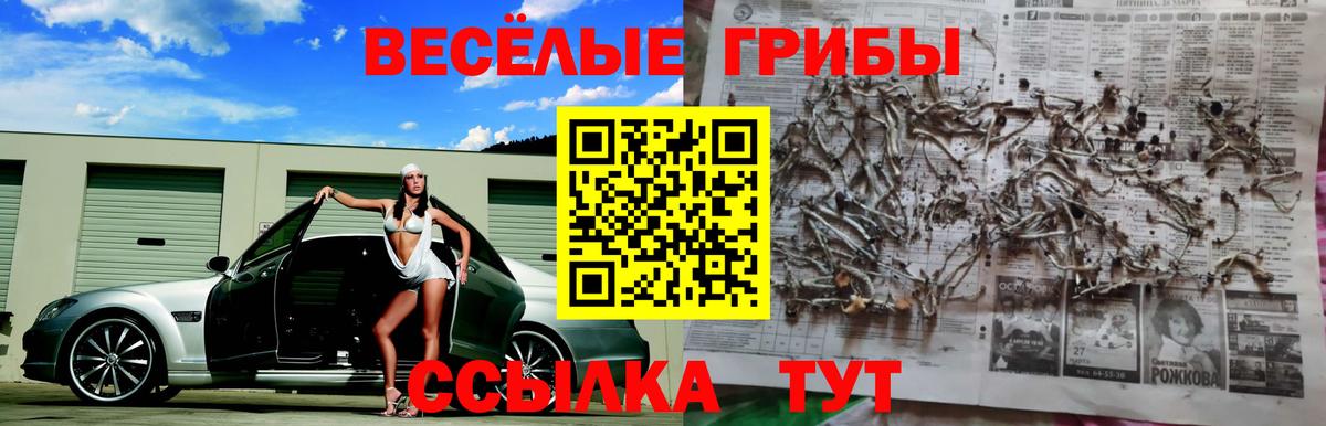 Анжеро-Судженск  Псилоцибиновые грибы мухоморы  Вход с VPN  Галлюциногенные грибы MAGIC MUSHROOMS 