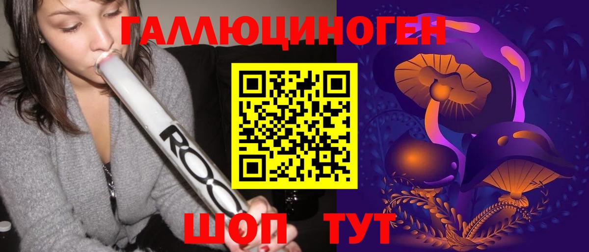 Псилоцибиновые грибы Psilocybe Анжеро-Судженск
